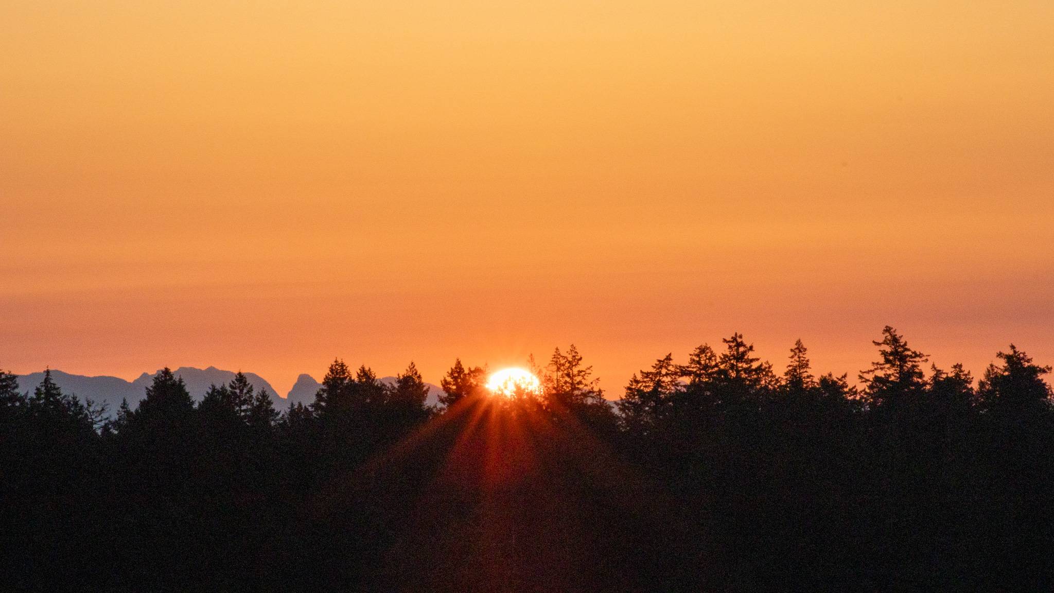 Daily Simple Wisdom: Earth Day 2026